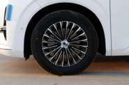 Denza D9 Luxury Edition