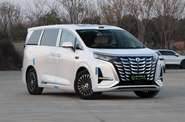 Denza D9 Luxury Edition