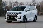 Denza D9 Luxury Edition