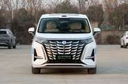 Denza D9 Luxury Edition