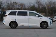 Denza D9 Luxury Edition