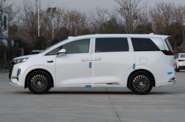 Denza D9 Luxury Edition
