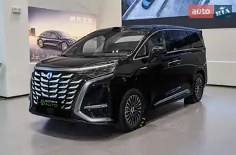 Denza D9