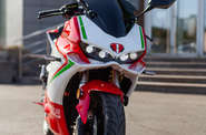 Electromoto EM Panigale Plus Base