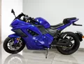 Electromoto EM Panigale Plus Electromoto EM Panigale Plus