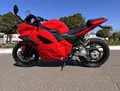 Electromoto EM Panigale Plus
