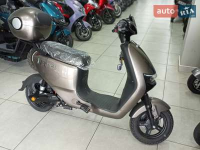 Fada N9 2024 Base