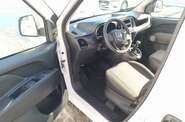Fiat Doblo пасс. Active Lungo N1