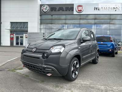 Fiat Panda 2023 Cold