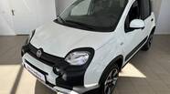 Fiat Panda Cold
