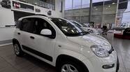Fiat Panda Cold