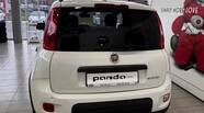 Fiat Panda Cold