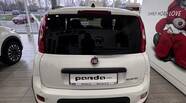 Fiat Panda Cold