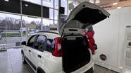 Fiat Panda Cold