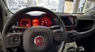 Fiat Panda Cold