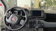 Fiat Panda Cold