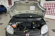 Fiat Panda Cold