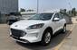 Ford Kuga Business