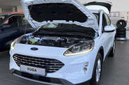 Ford Kuga Business
