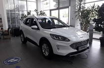 Ford Kuga Business