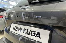 Ford Kuga Business