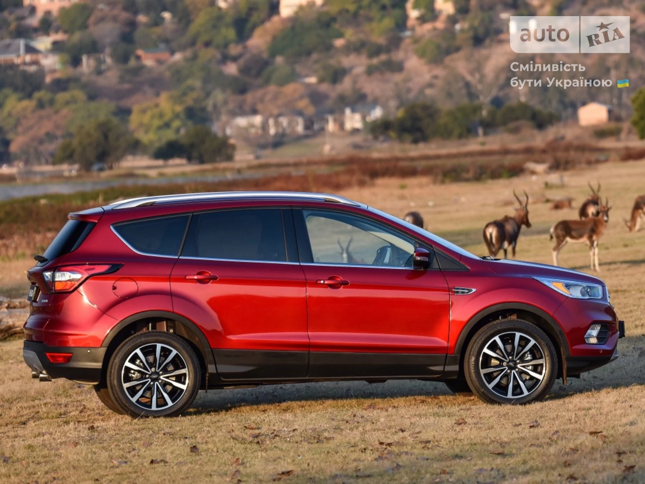 Ford Kuga Business