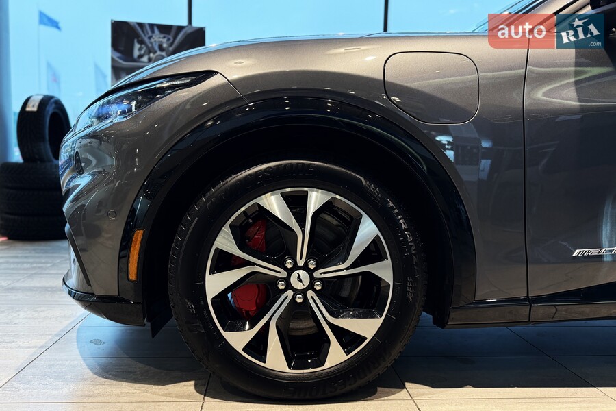 Ford Mustang Mach-E - фото 11