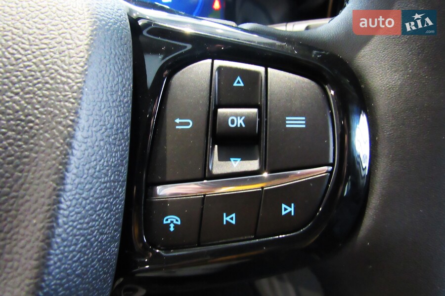 Ford Tourneo Custom - фото 25