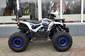 Новый Forte ATV 125 F Base 2024 автосалона Мотосалон АРТМОТО Суми - фото 6