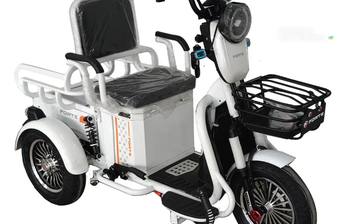 Forte Cargo 2025 Base