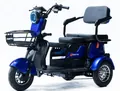 Forte P600