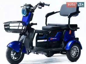 Forte P600