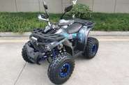 Forte Shark II 150 Base