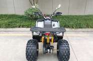 Forte Shark II 150 Base