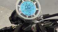 Geon Baddog 250 Base
