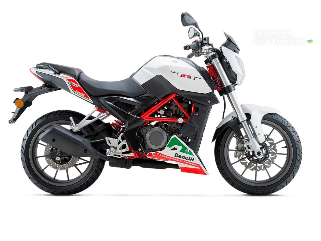 Geon Benelli Base