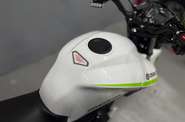 Geon Pantera 250 Base