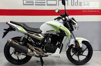 Geon Pantera 250 2025 Base