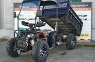 Hammer 300 Hammer 300 Base