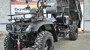 Hammer 300 Base