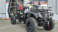Hammer 300 Base