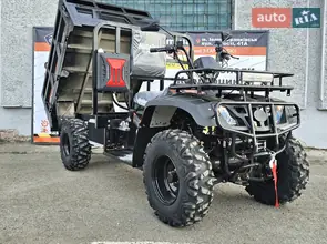 Hammer 300