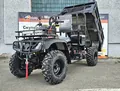 Hammer 300