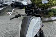 Harley-Davidson Pan America ST Base
