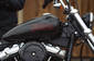 Harley-Davidson Softail Standard Base