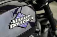 Harley-Davidson Sportster Base