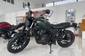 Новый Honda CL 500 MT (45.6 к.с.) Base 2024 автосалона «Форсаж авто» - фото 1