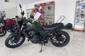 Новый Honda CL 500 MT (45.6 к.с.) Base 2024 автосалона «Форсаж авто» - фото 27