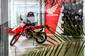 Honda CRF 300L Base