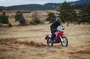 Honda CRF Base